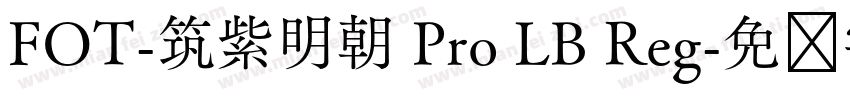FOT-筑紫明朝 Pro LB Reg字体转换